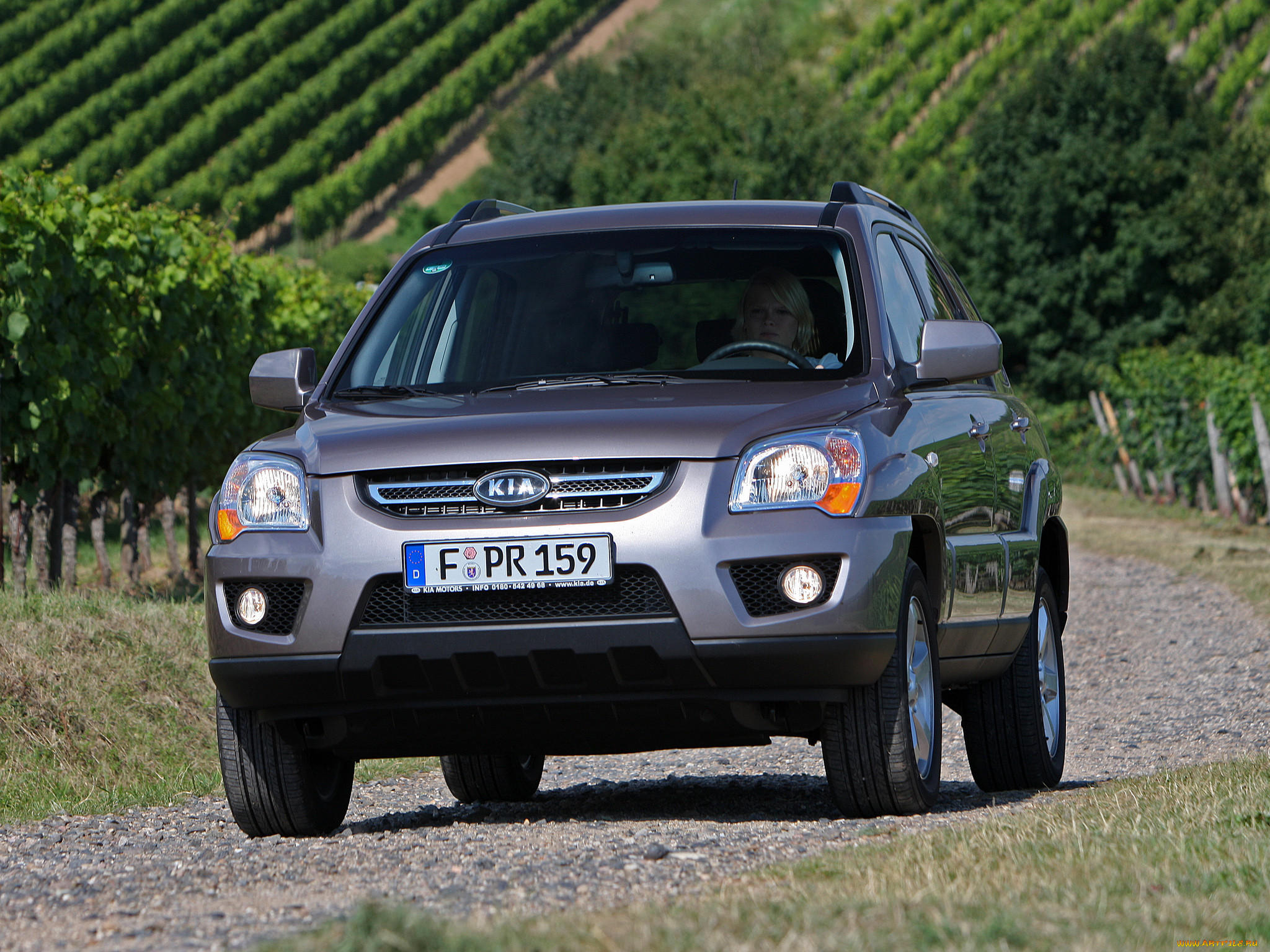 , kia, sportage